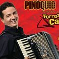 Pinóquio Do Acordeon