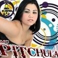 mc pitchula