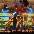 grupo zingaro
