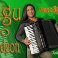 GUGU DO ACORDEON