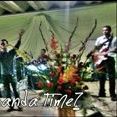 Banda Time7