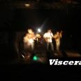 Viscerais