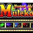 Forro dos Mulekotys OFICIAL