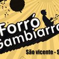 Forró Gambiarra