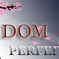 DOM PERFEITO