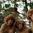 Puro & Simples