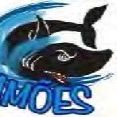 Os Camões