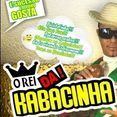 O REI DAS CABAÇINHAS