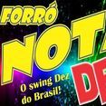 BANDA FORRO NOTA DEZ