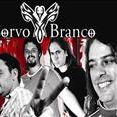 Corvo Branco