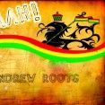 ANDREW ROOTS