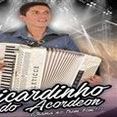 Ricardinho do Acordeon OFICIAL