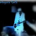 Low Embryonic Cells