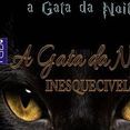 A GATA DA NOITE