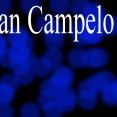 Natan Campelo Drums