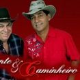 Viajante & Caminheiro