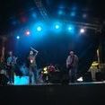 Banda Milth