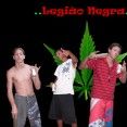 LEGIÃO NEGRA