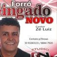Forró Gingado Novo Oficial