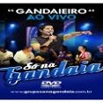 Só Na Gandaia