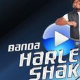 HarlemShake