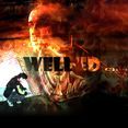 Welded Cheeses