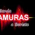 Amuras a Boreste