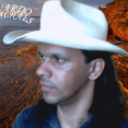 Sélvio dos Teclados