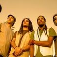 REGGAE A SEMENTE