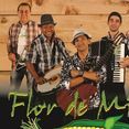 Flor de Milho