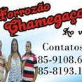 Forró Chamegaço