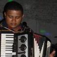 ´forró mania musical