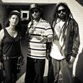 Dialeto Sound Crew