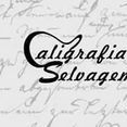 CALIGRAFIA SELVAGEM