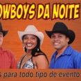 Cowboys da noite