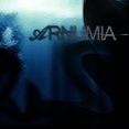 Arnumia