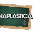 Zona Plástica