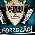 Veinho do Acordeon & Os Meninos Forrozeiros