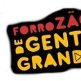 ForroZÃO de Gente Grande