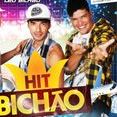 Hit bichao