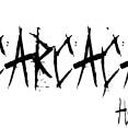 Carcaça
