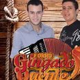 forró gingado quente