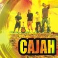 Cajah