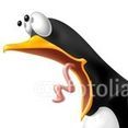 pinguim moleque