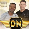 DN