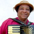 Raminho do Acordeon