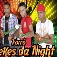 Forró Mulekes da Night