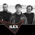 Ilex