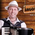 Zagotinho do acordeon