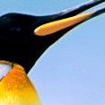 norberto